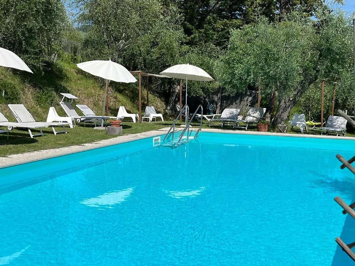 Villa Colle Olivi Pescia 0*,
