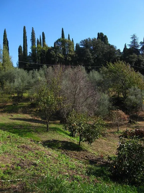 Villa Colle Olivi Pescia 0*,  Italia