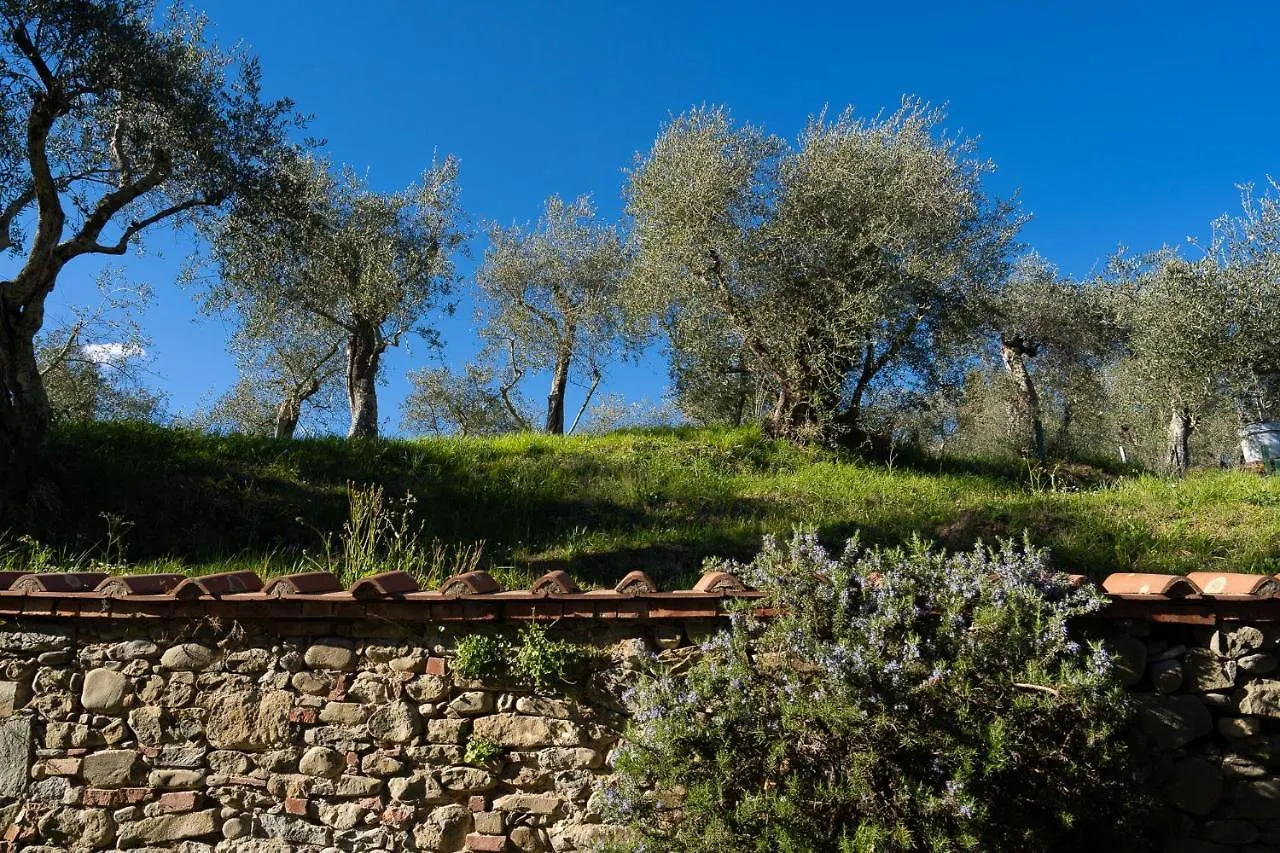 Alloggi In Villa Storica Italy